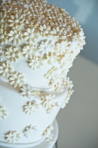 Maxie B's flower icing cake photography, Greensboro NC - CharlesMedia Photography